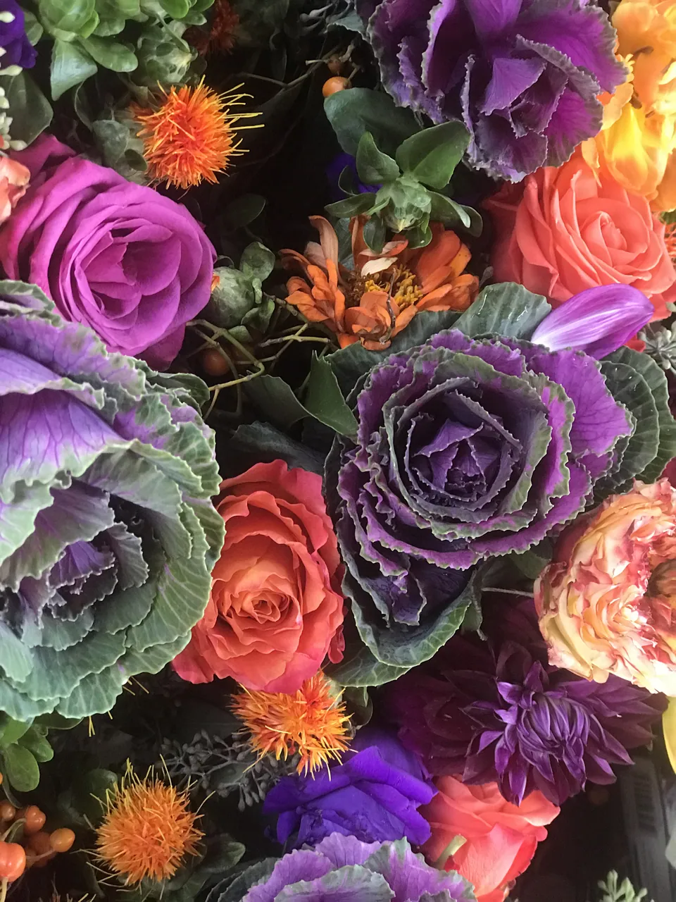 Close floral study with purple cabbage texture, coral roses, orange accents, and greenery.